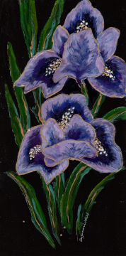 Two Iris